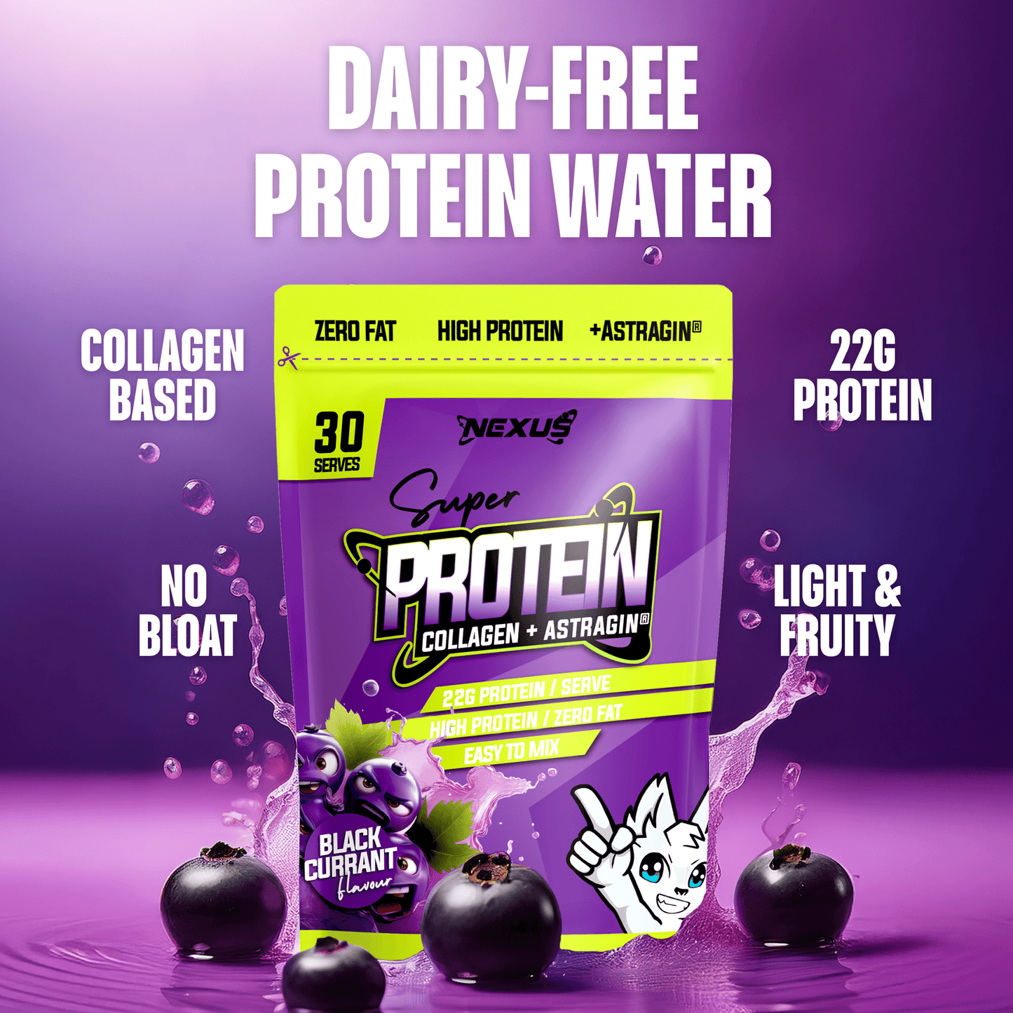 Protein Water Blackcurrant